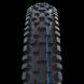 Покришка Schwalbe NOBBY NIC Evo Super Ground TLE 29x2.40 11654143.01 фото 3