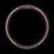 Покрышка Schwalbe RACING RALPH 29x2.35 Evo Super Race TLE 11654053.01 фото 3