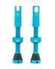 Ніпелі Peaty's x Chris King Tubeless Valves, 42mm, Turquoise PTV2-42-TRQ-12 фото 1