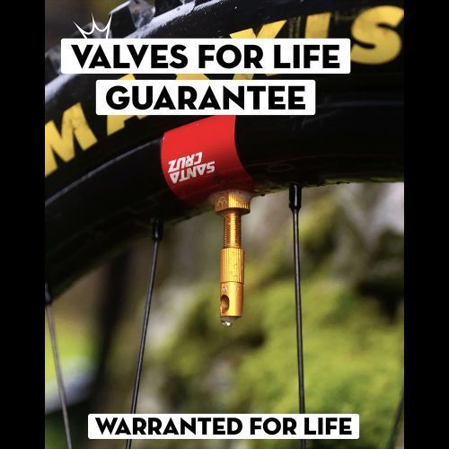 Ніпелі Peaty's x Chris King Tubeless Valves, 42mm, Violet PTV2-42-VLT-12 фото